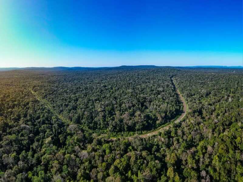 Misiones y los créditos de carbono: qué son y por qué la provincia logró una certificación inédita 9 creditos de carbono 1 - 8