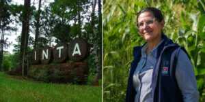La secretaria general de APINTA, Silvina Fariza, alertó sobre la salida de 43 trabajadores del INTA en Misiones y advirtió que el ajuste podría profundizarse con nuevos recortes.