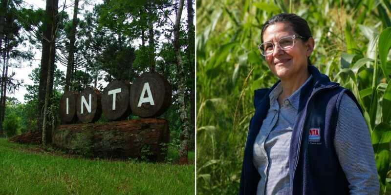 La secretaria general de APINTA, Silvina Fariza, alertó sobre la salida de 43 trabajadores del INTA en Misiones y advirtió que el ajuste podría profundizarse con nuevos recortes.