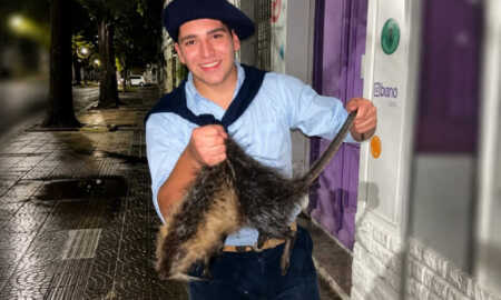 Un video viral expuso un brutal caso de maltrato animal en Bahía Blanca maltratoanimal - 8
