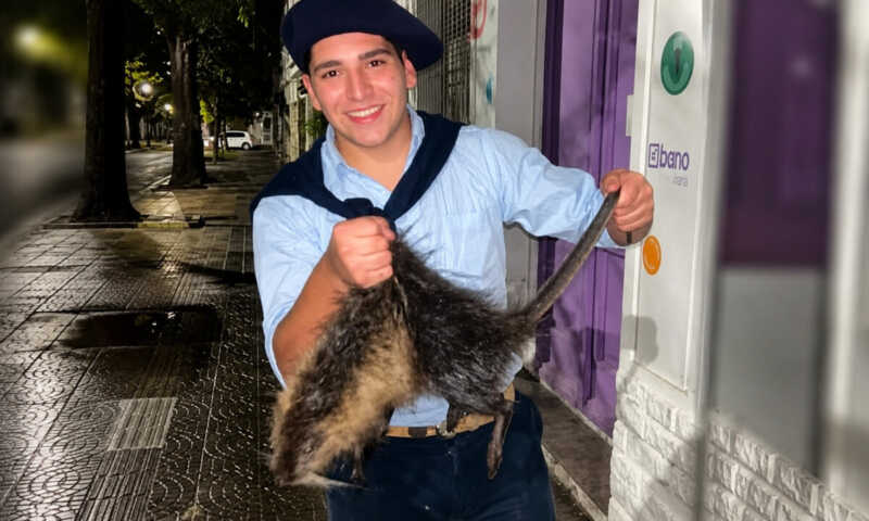 maltratoanimal - 2