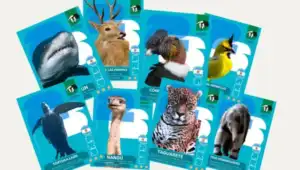 Fundación Vida Silvestre lanzó figuritas de especies nativas para promover la conservación de la biodiversidad fund