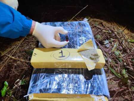 Golpe millonario al narcotráfico: incautan casi 6 toneladas de marihuana en Caraguatay narco
