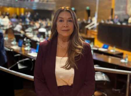 nelli guerrero lla misiones