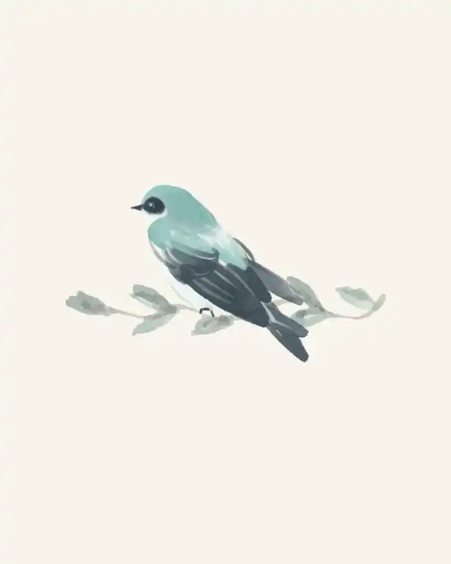 NIDO llegó a Posadas con una mirada innovadora sobre la salud mental 3 nido pajaro rama crema - 2