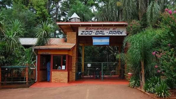 Denuncian la presencia de un mono capuchino sobre la costanera de Posadas 7 zoobalpark - 6